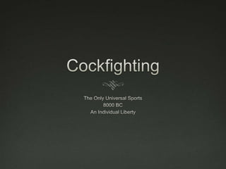 Cockfighting The Only Universal Sports 8000 BC An Individual Liberty 