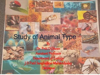 Study of Animal Type
By
Dr. Priti D.Diwan
Assistant Professor
Department of Zoology
J.D.Patil Sangludkar Mahavidyalay
Daryapur
 