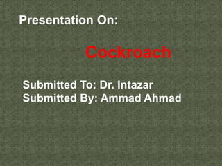 Presentation On:
Cockroach
Submitted To: Dr. Intazar
Submitted By: Ammad Ahmad
 