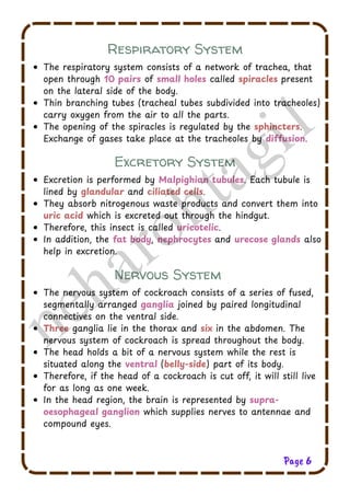 Cockroach Class 11th NEET CBSE NCERT Biology | PDF