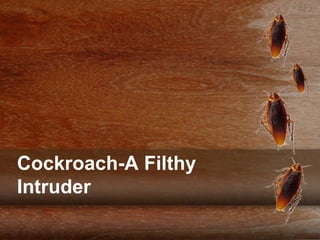 Cockroach-A Filthy
Intruder
 