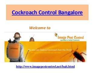 Cockroach Control Bangalore

          Welcome to




 http://www.imagepestcontrol.net/bait.html
 