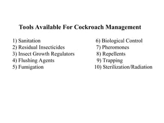 cockroachesCUCARACHAS CONTROL PLAGAS.ppt