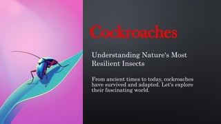 Cockroach Adaptations Cockroaches: Exploring Nature's Most Resilient and Adaptable Insects | PPTX