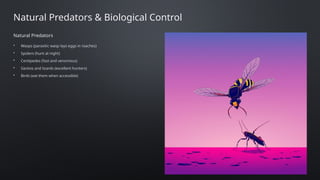 Cockroach Adaptations Cockroaches: Exploring Nature's Most Resilient and Adaptable Insects | PPTX