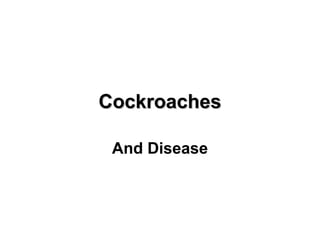 CockroachesCockroaches
And Disease
 