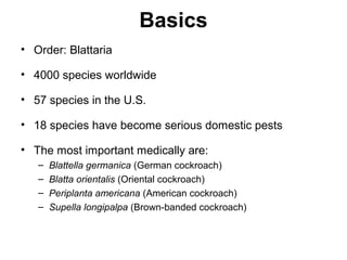 Cockroaches and disease | PPT