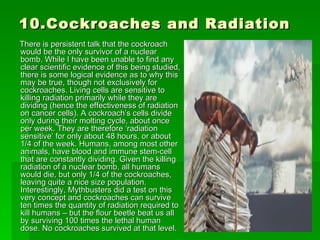 Cockroaches By Rcdohare & Abha Dohare | PPT