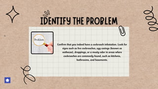 Confirm that you indeed have a cockroach infestation. Look for
signs such as live cockroaches, egg casings (known as
oothecae), droppings, or a musty odor in areas where
cockroaches are commonly found, such as kitchens,
bathrooms, and basements.