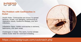 Professional Cockroach Pest Control in Dubai | PPT
