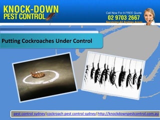 Putting Cockroaches Under Control




    pest control sydney|cockroach pest control sydney|http://knockdownpestcontrol.com.au
 
