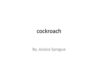 cockroach
By. Jessica Sprague
 