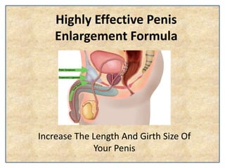 Highly Effective Penis
Enlargement Formula
Increase The Length And Girth Size Of
Your Penis
 