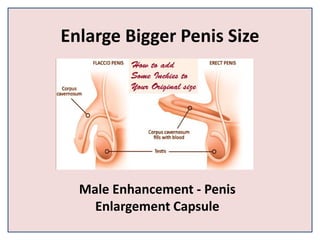 Enlarge Bigger Penis Size
Male Enhancement - Penis
Enlargement Capsule
 