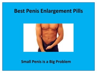 Best Penis Enlargement Pills
Small Penis is a Big Problem
 
