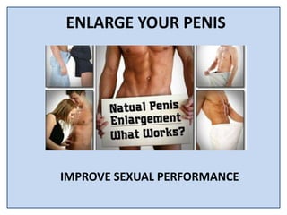 ENLARGE YOUR PENIS
IMPROVE SEXUAL PERFORMANCE
 