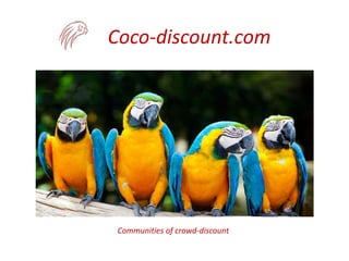 Coco-discount.com
Communities of crowd-discount
 