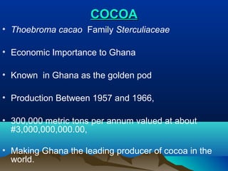 COCOA
• Thoebroma cacao Family Sterculiaceae
• Economic Importance to Ghana
• Known in Ghana as the golden pod
• Production Between 1957 and 1966,
• 300,000 metric tons per annum valued at about
#3,000,000,000.00,
• Making Ghana the leading producer of cocoa in the
world.

 