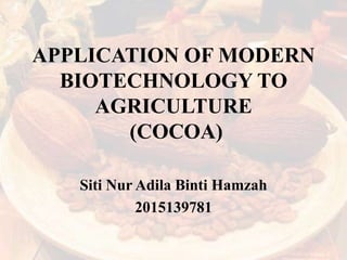 APPLICATION OF MODERN
BIOTECHNOLOGY TO
AGRICULTURE
(COCOA)
Siti Nur Adila Binti Hamzah
2015139781
 