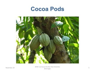 Cocoa Pods
November 20
BHM 112 Cocoa & other Non Alcoholic
Beverages
5
 