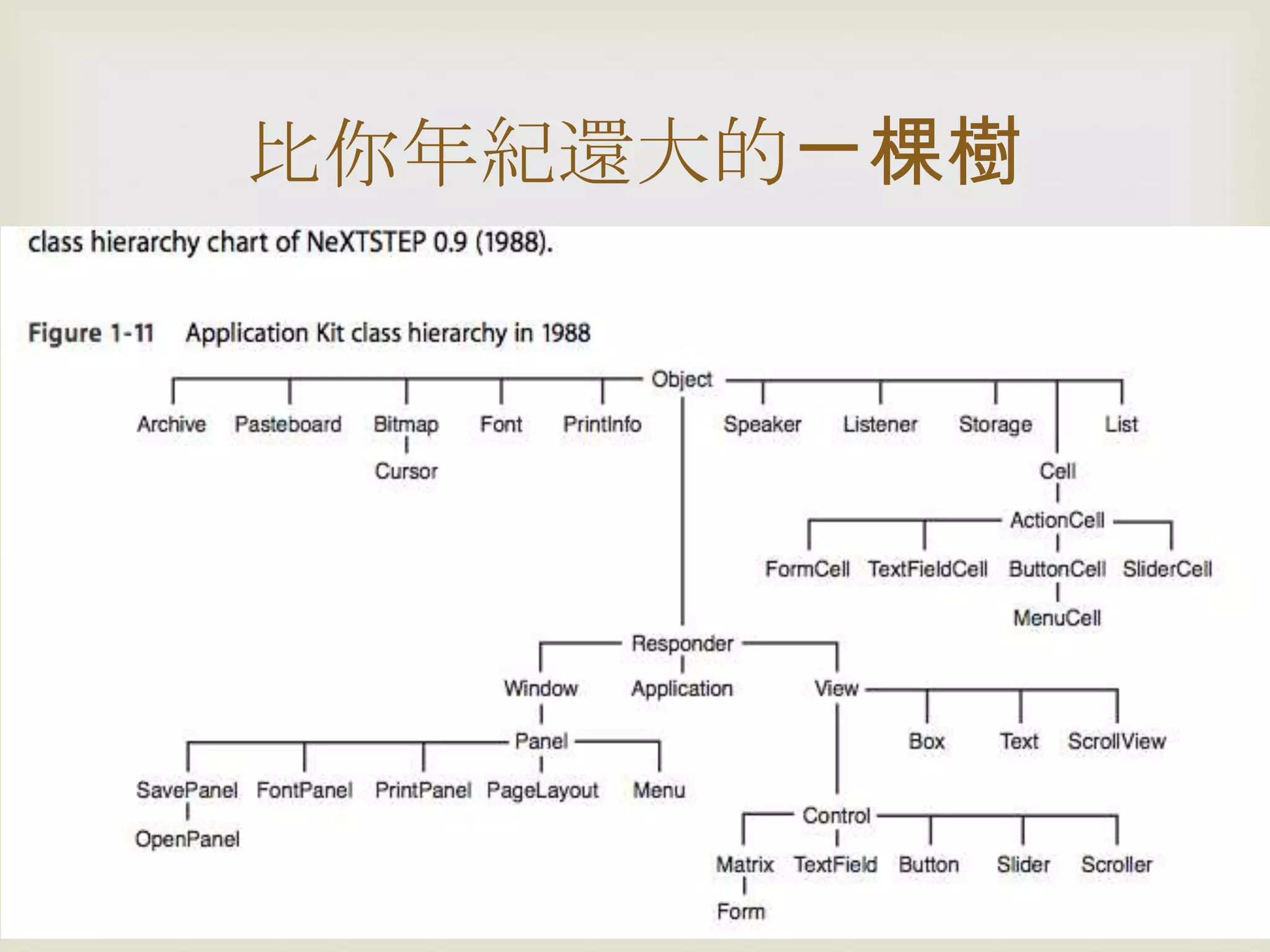 
比你年紀還大的ㄧ棵樹
 