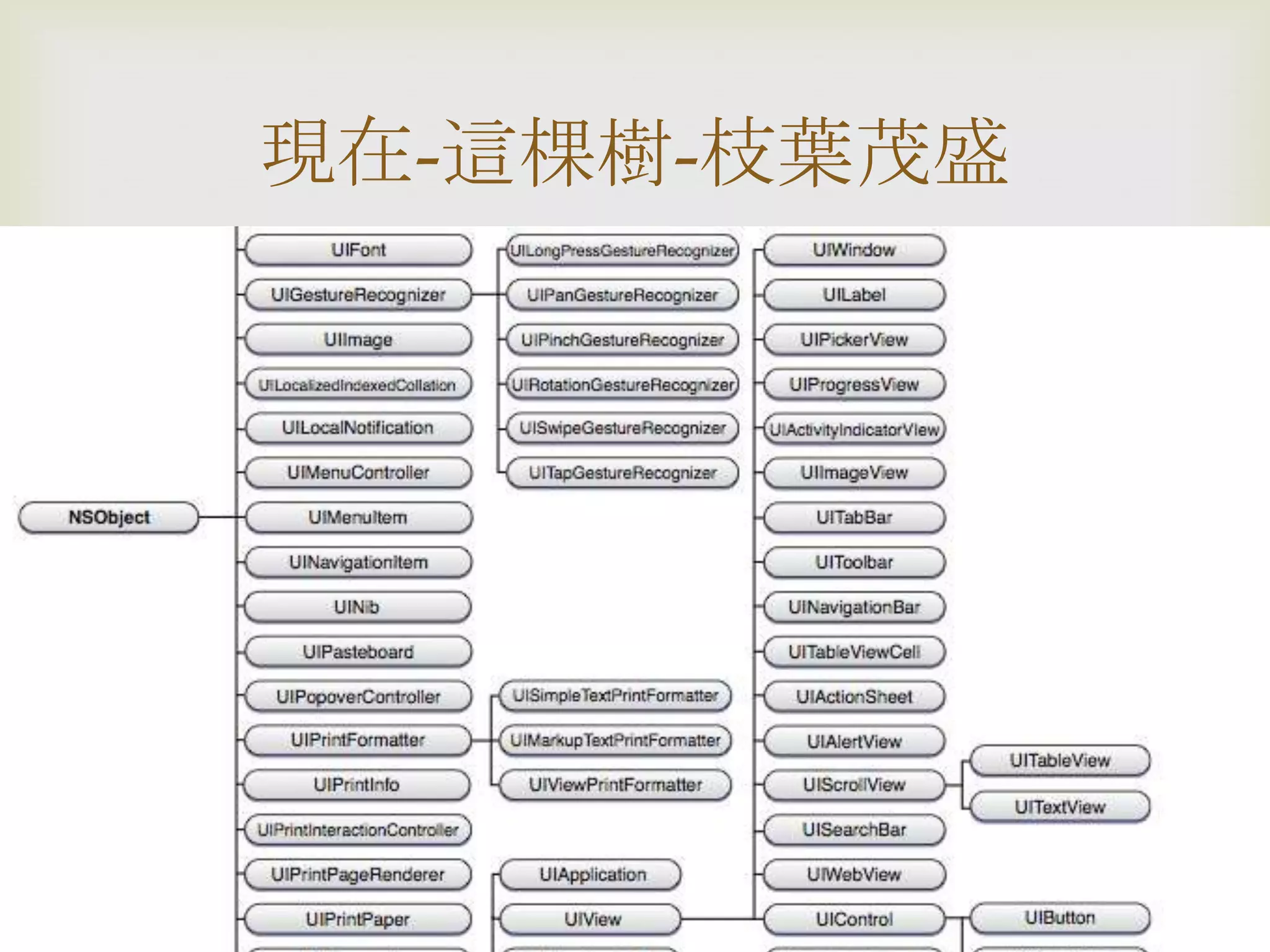 
現在-這棵樹-枝葉茂盛
 