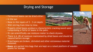 Drying and Storage
• Fermented beans can be dried either:
• In the sun
• Done in thin layers of 2 - 3 cm depth.
• With stirring from time to time.
• Properly dried beans produce a characteristic cracking sound upon
compressing a fistful of beans in the palm.
• Or can scientifically use moisture meter to check dryness.
• There is 6 -8% of moisture maintained by dried beans and should be
cleared before storage.
• Dried beans are broken, shriveled and other extraneous material
removed.
• Beans are packed into bags that are kept on a raised platform of wooden
planks for storage.
R.Raga Madhuri
 