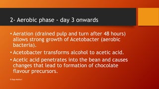 2- Aerobic phase - day 3 onwards
• Aeration (drained pulp and turn after 48 hours)
allows strong growth of Acetobacter (aerobic
bacteria).
• Acetobacter transforms alcohol to acetic acid.
• Acetic acid penetrates into the bean and causes
changes that lead to formation of chocolate
flavour precursors.
R.Raga Madhuri
 