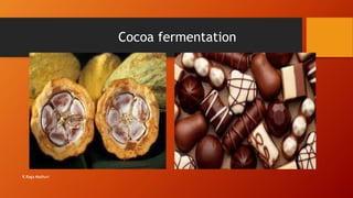 Cocoa fermentation
R.Raga Madhuri
 