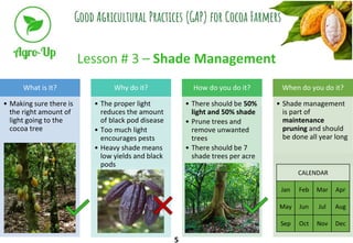 Lesson # 3 – Shade Management
What is It?
• Making sure there is
the right amount of
light going to the
cocoa tree
Why do ...