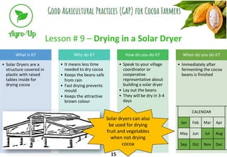 Lesson # 9 – Drying in a Solar Dryer
How do you do it?
Why do it?
• Solar Dryers are a
structure covered in
plastic with r...