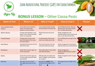 BONUS LESSON – Other Cocoa Pests
Name of Pest What is it? Why is it bad? How to treat it Picture:
Cocoa Swollen Shoot
Dise...