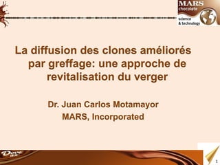 La diffusion des clones améliorés
  par greffage: une approche de
       revitalisation du verger

      Dr. Juan Carlos Motamayor
          MARS, Incorporated




                                    1
 