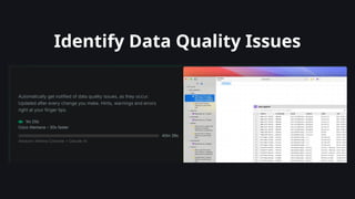 Identify Data Quality Issues
 