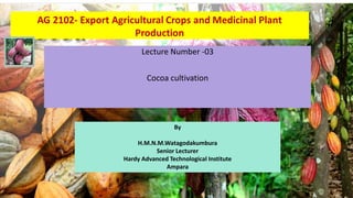 Lecture Number -03
Cocoa cultivation
By
H.M.N.M.Watagodakumbura
Senior Lecturer
Hardy Advanced Technological Institute
Ampara
 