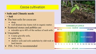 • Soils and Climatic needs
• Soil
 The best soils for cocoa are
 deep,
 well drained clay loams rich in organic matter....