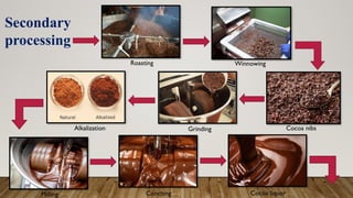 Cocoa processing ppt prentation of elp project | PPTX