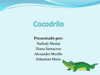 Cocodrilo Presentado por:  Nathaly Mesias  Diana Santacruz Alexander Morillo Sebastian Mutis 
