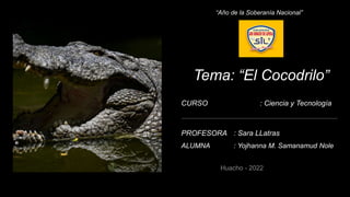 Tema: “El Cocodrilo”
CURSO : Ciencia y Tecnología
“Año de la Soberanía Nacional”
PROFESORA : Sara LLatras
ALUMNA : Yojhanna M. Samanamud Nole
 