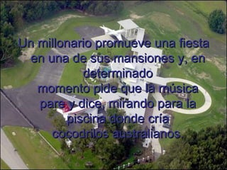 Un millonario promueve una fiesta en una de sus mansiones y, en determinado momento pide que la música pare y dice, mirando para la piscina donde cría cocodrilos australianos.