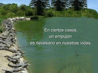 En ciertos casos, un empujon  es necesario en nuestras vidas . 