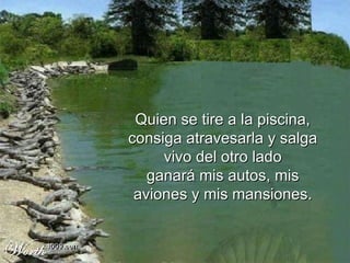 Quien se tire a la piscina, consiga atravesarla y salga vivo del otro lado ganará mis autos, mis aviones y mis mansiones . 