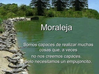 Moraleja Somos capaces de realizar muchas cosas que, a veces no nos creemos capaces. Solo necesitamos un empujoncito . 
