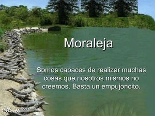 Moraleja Somos capaces de realizar muchas cosas que nosotros mismos no creemos. Basta un empujoncito . 