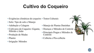  Exigências climáticas do coqueiro
 Solo: Tipo de solo e Manejo
 Adubação e Calagem
 Cultivares do Coqueiro: Gigante,
Hibrido e Anão
 Produção de Mudas
 Plantio
 Irrigação: Métodos
 Tratos Culturais
 Manejo de Plantas Daninhas
 Doenças e Métodos de Controle
 Principais Pragas e Métodos de
Controle
 Colheita e Pós-colheita
11
 
