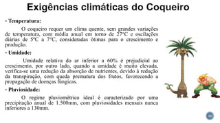  Temperatura:
O coqueiro requer um clima quente, sem grandes variações
de temperatura, com média anual em torno de 27°C e oscilações
diárias de 5ºC a 7°C, consideradas ótimas para o crescimento e
produção.
 Umidade:
Umidade relativa do ar inferior a 60% é prejudicial ao
crescimento, por outro lado, quando a umidade é muito elevada,
verifica-se uma redução da absorção de nutrientes, devido à redução
da transpiração, com queda prematura dos frutos, favorecendo a
propagação de doenças fúngicas.
 Pluviosidade:
O regime pluviométrico ideal é caracterizado por uma
precipitação anual de 1.500mm, com pluviosidades mensais nunca
inferiores a 130mm.
12
 