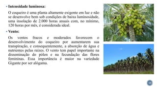  Intensidade luminosa:
O coqueiro é uma planta altamente exigente em luz e não
se desenvolve bem sob condições de baixa luminosidade,
uma insolação de 2.000 horas anuais com, no mínimo,
120 horas por mês, é considerada ideal.
 Vento:
Os ventos fracos e moderados favorecem o
desenvolvimento do coqueiro por aumentarem sua
transpiração, e consequentemente, a absorção de água e
nutrientes pelas raízes. O vento tem papel importante na
disseminação do pólen e na fecundação das flores
femininas. Essa importância é maior na variedade
Gigante por ser alógama.
13
 