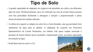  A grande capacidade de adaptação do coqueiro tem permitido seu cultivo em diferentes
tipos de solos. Preferencialmente, deve ser cultivado em solo de textura franco-arenosa
com boa porosidade facilitando a drenagem e aeração e proporcionando o pleno
desenvolvimento do sistema radicular.
 A cultura do coqueiro se adapta em solos leves e bem drenados, mas que permitam bom
suprimento de água para as plantas. A adaptação do coqueiro aos Neossolos
Quartzarênicos do Litoral Nordestino, seu habitat, está quase sempre associada à
presença de lençol freático pouco profundo, compensando assim, sua baixa capacidade
de retenção de água.
 O pH ideal situa-se entre 6 e 6,5.
14
 