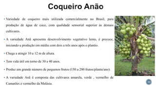  Variedade de coqueiro mais utilizada comercialmente no Brasil, para
produção de água de coco, com qualidade sensorial superior às demais
cultivares.
 A variedade Anã apresenta desenvolvimento vegetativo lento, é precoce,
iniciando a produção em média com dois a três anos após o plantio.
 Chega a atingir 10 a 12 m de altura.
 Tem vida útil em torno de 30 a 40 anos.
 Produz um grande número de pequenos frutos (150 a 200 frutos/planta/ano).
 A variedade Anã é composta das cultivares amarela, verde , vermelho de
Camarões e vermelho da Malásia.
21
 