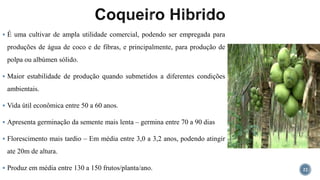  É uma cultivar de ampla utilidade comercial, podendo ser empregada para
produções de água de coco e de fibras, e principalmente, para produção de
polpa ou albúmen sólido.
 Maior estabilidade de produção quando submetidos a diferentes condições
ambientais.
 Vida útil econômica entre 50 a 60 anos.
 Apresenta germinação da semente mais lenta – germina entre 70 a 90 dias
 Florescimento mais tardio – Em média entre 3,0 a 3,2 anos, podendo atingir
ate 20m de altura.
 Produz em média entre 130 a 150 frutos/planta/ano. 22
 